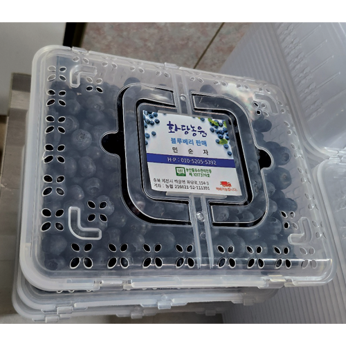 blueberry01.png